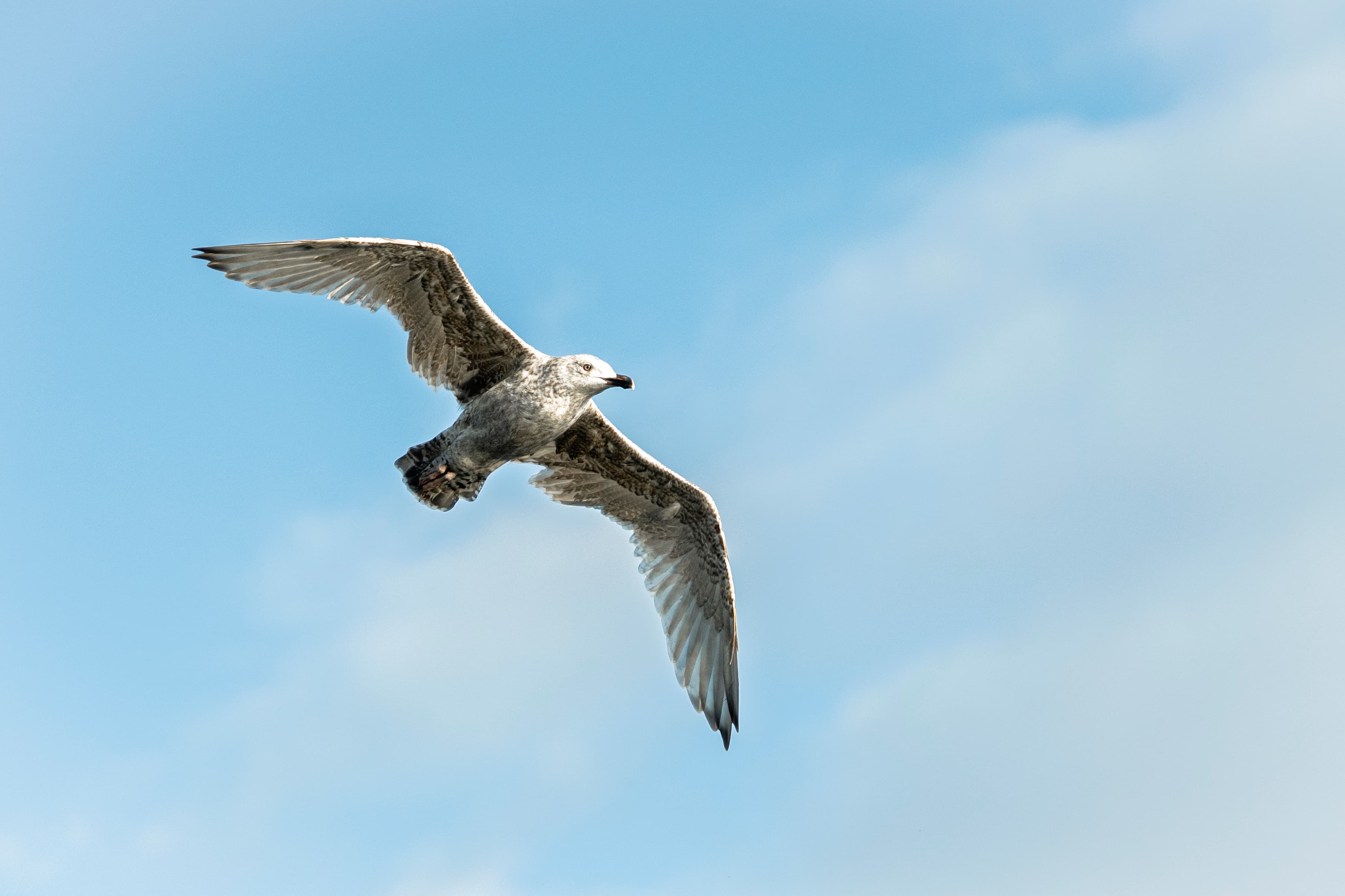 Jøvika Lodge exterior 27